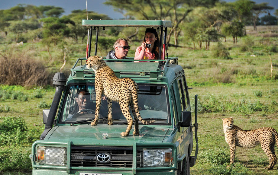 Safari 4